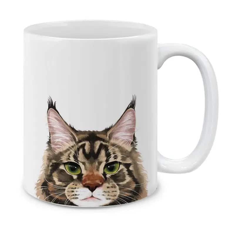 Kattekrus <Br>Maine Coon